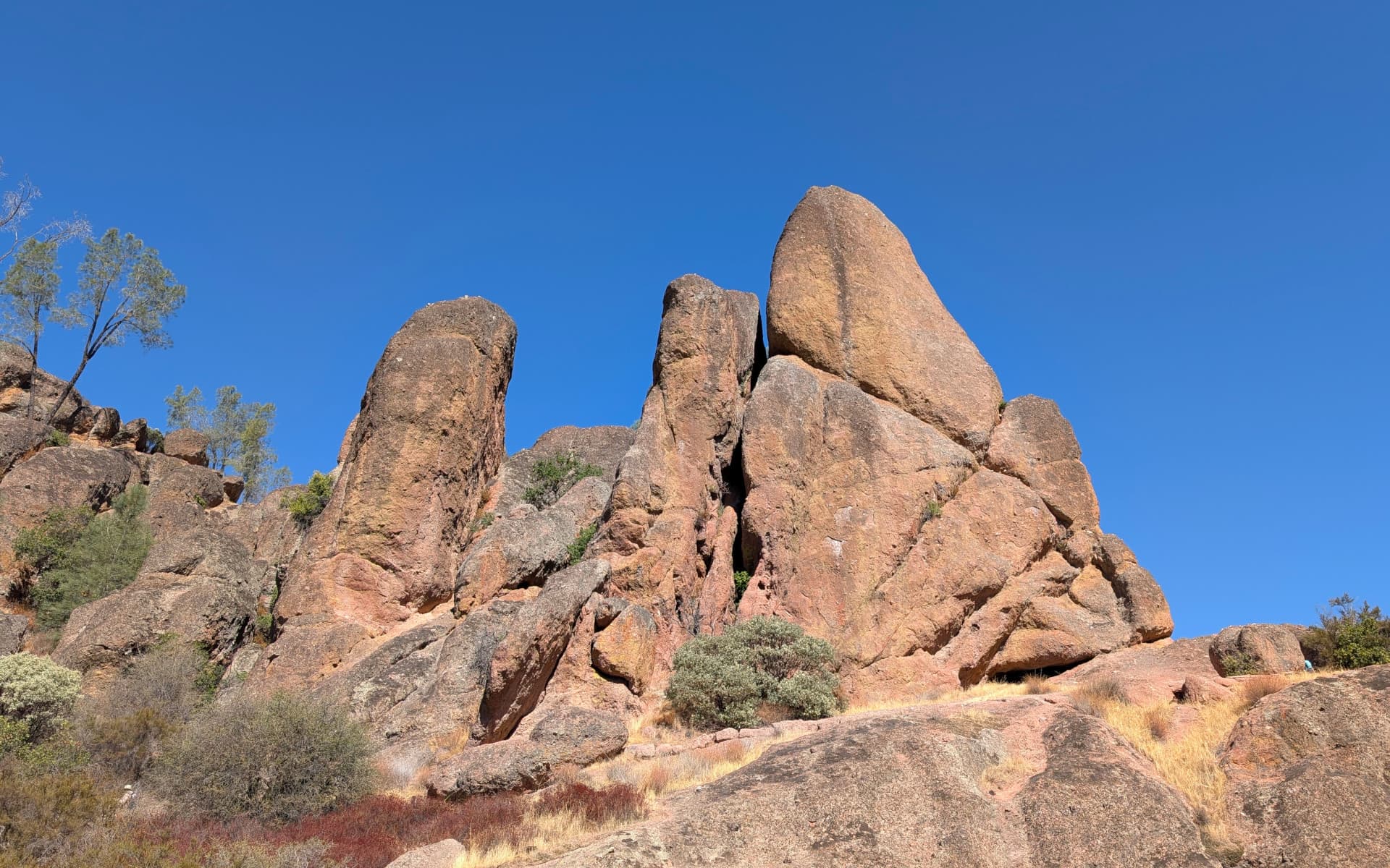 Pinnacles National Park