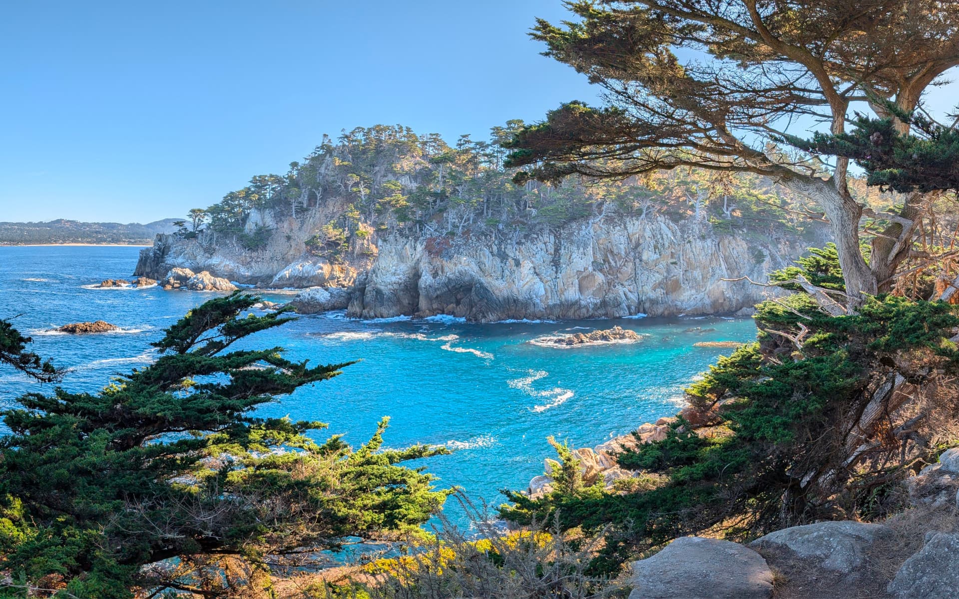 Point Lobos