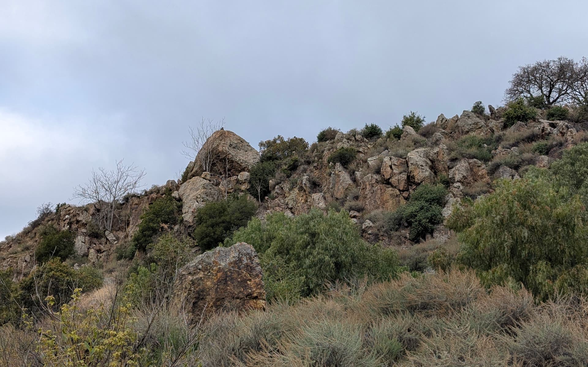 Alum Rock Park