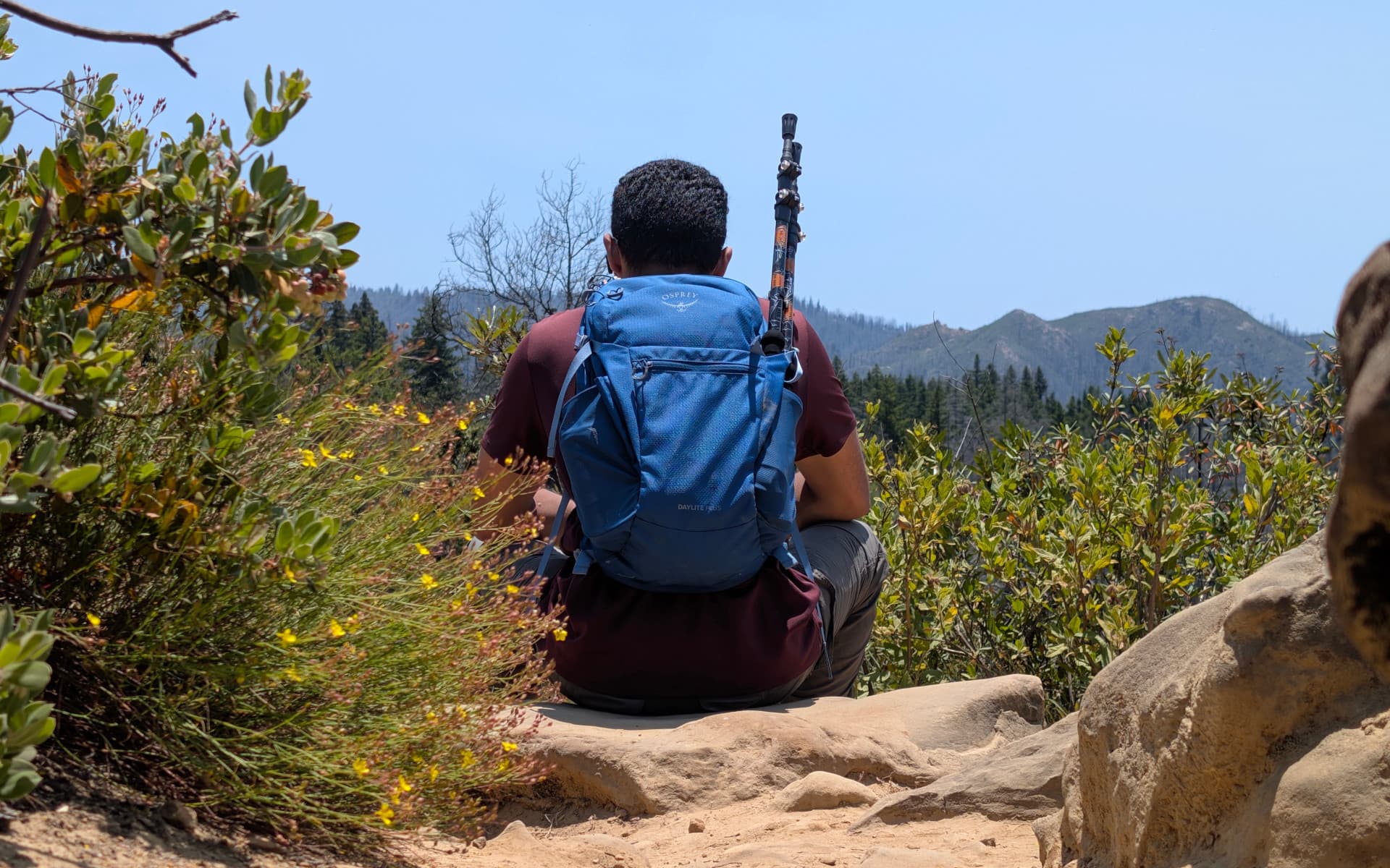 Big Basin State Park