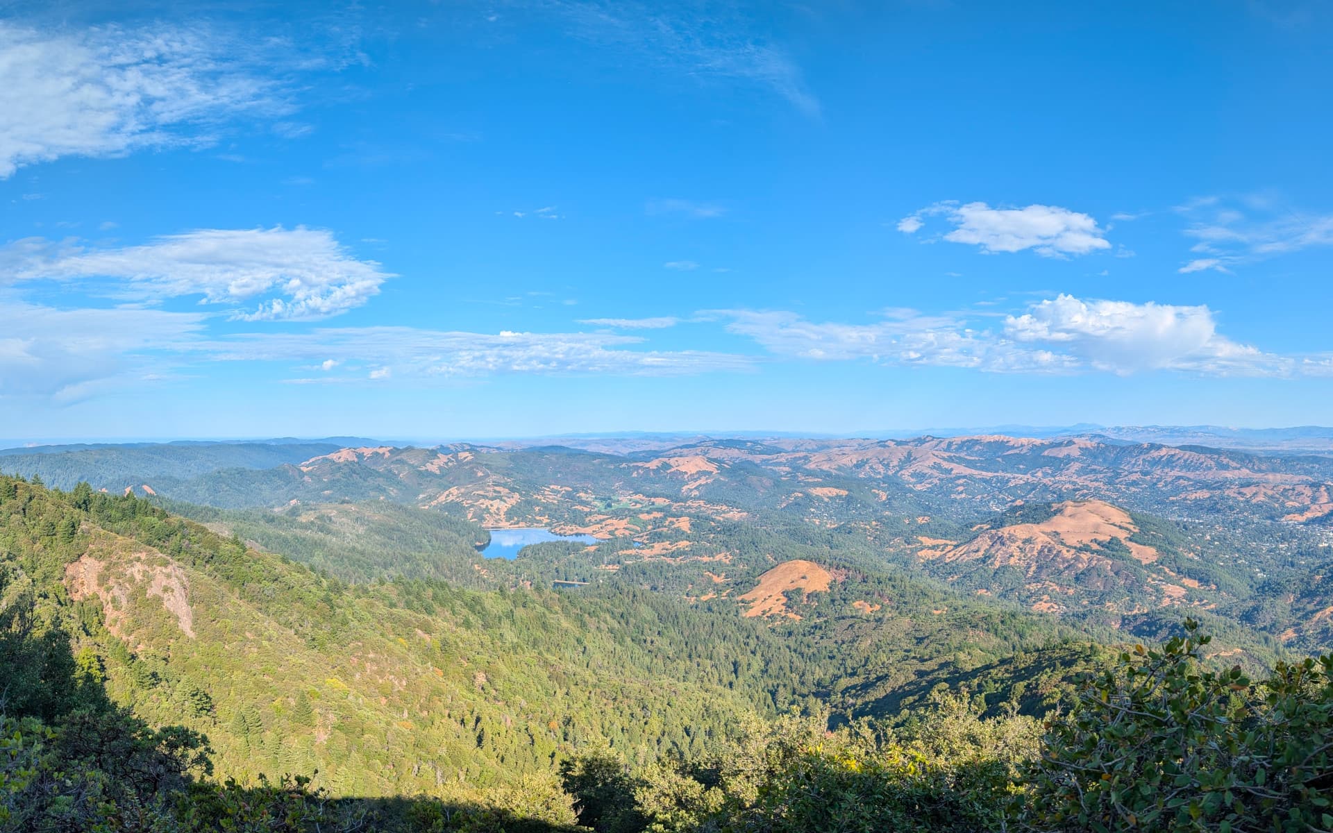 Mount Tamalpais