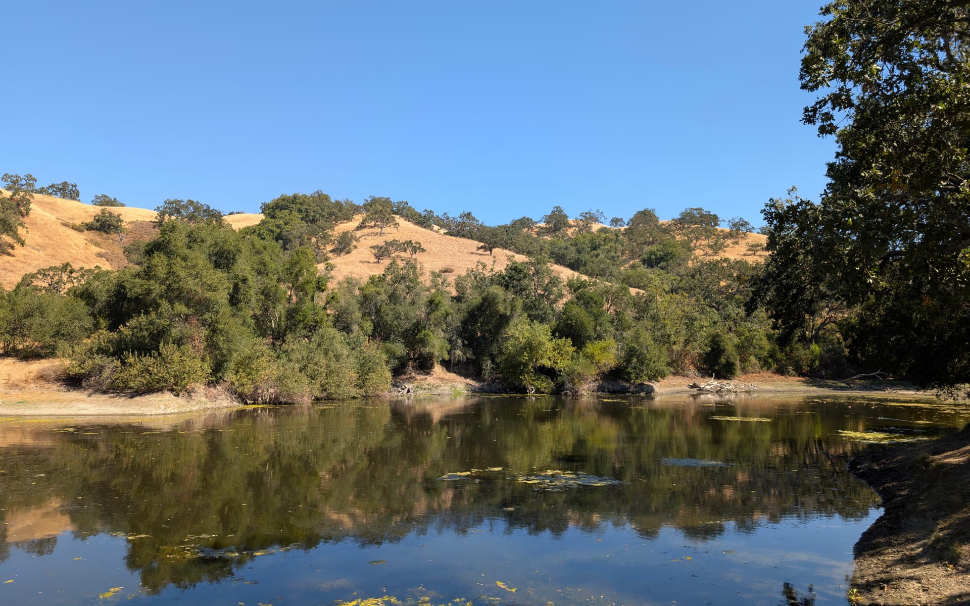 Grant Lake