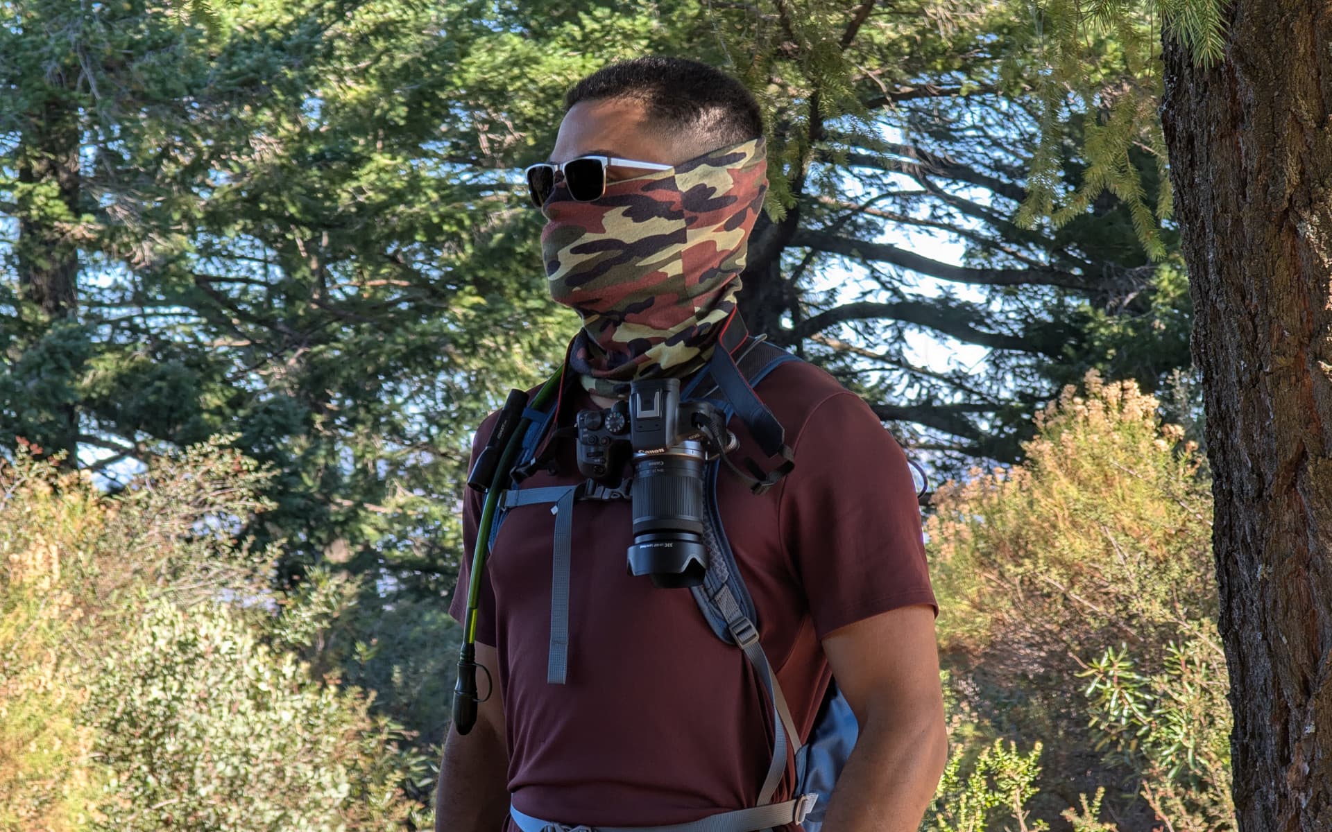 Uvas Canyon