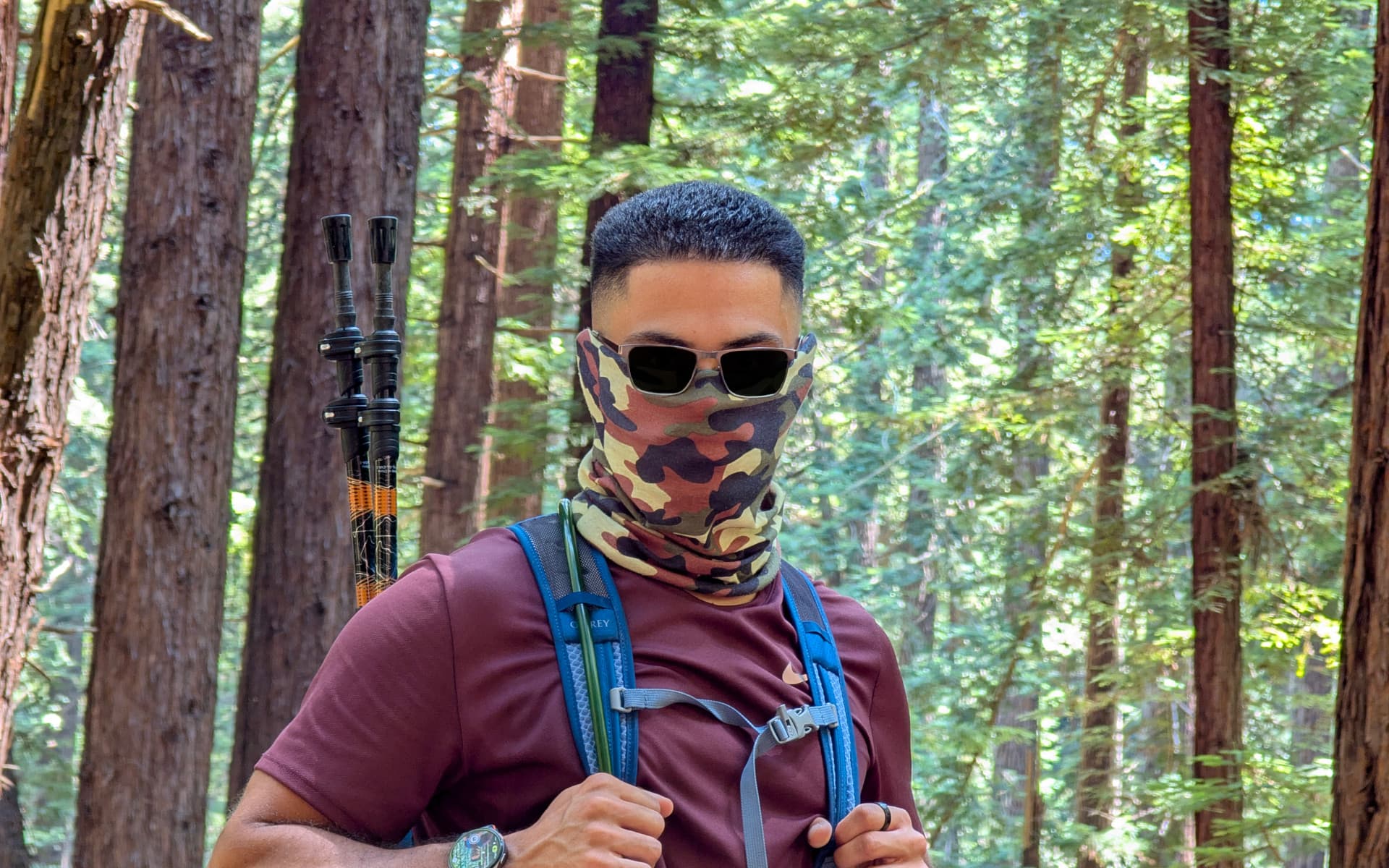 Reinhardt Redwoods