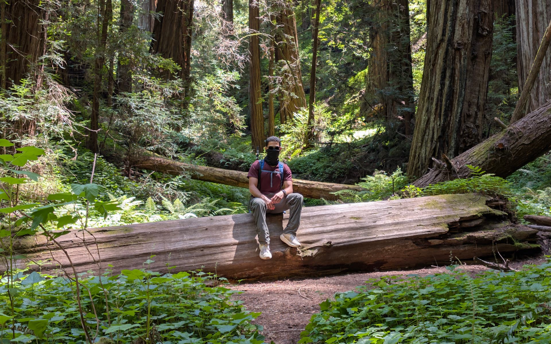 Portola Redwoods State Park