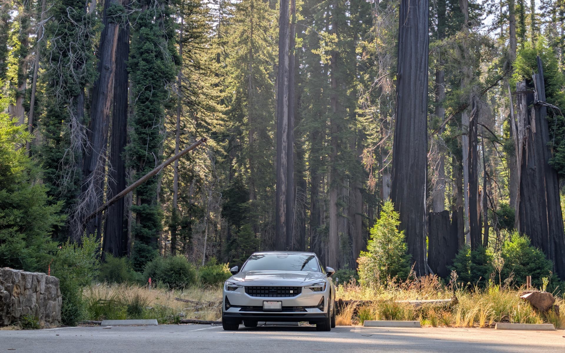 Big Basin State Park