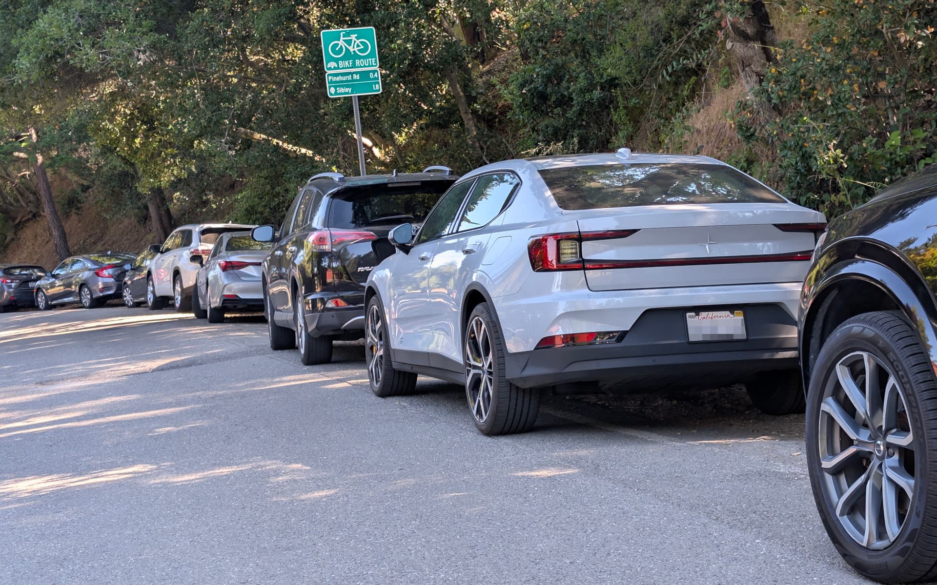Reinhardt Redwoods