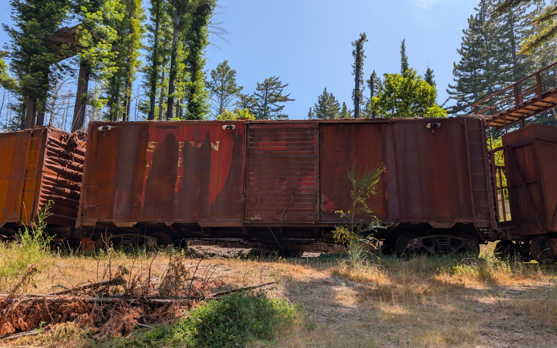 Big Basin State Park