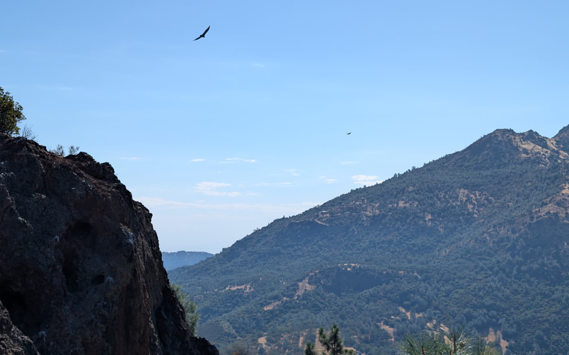 Mount Diablo