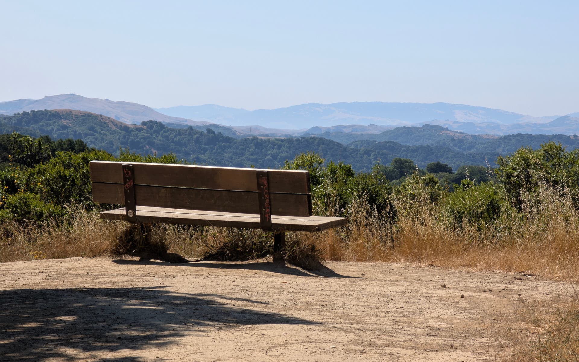 Reinhardt Redwoods