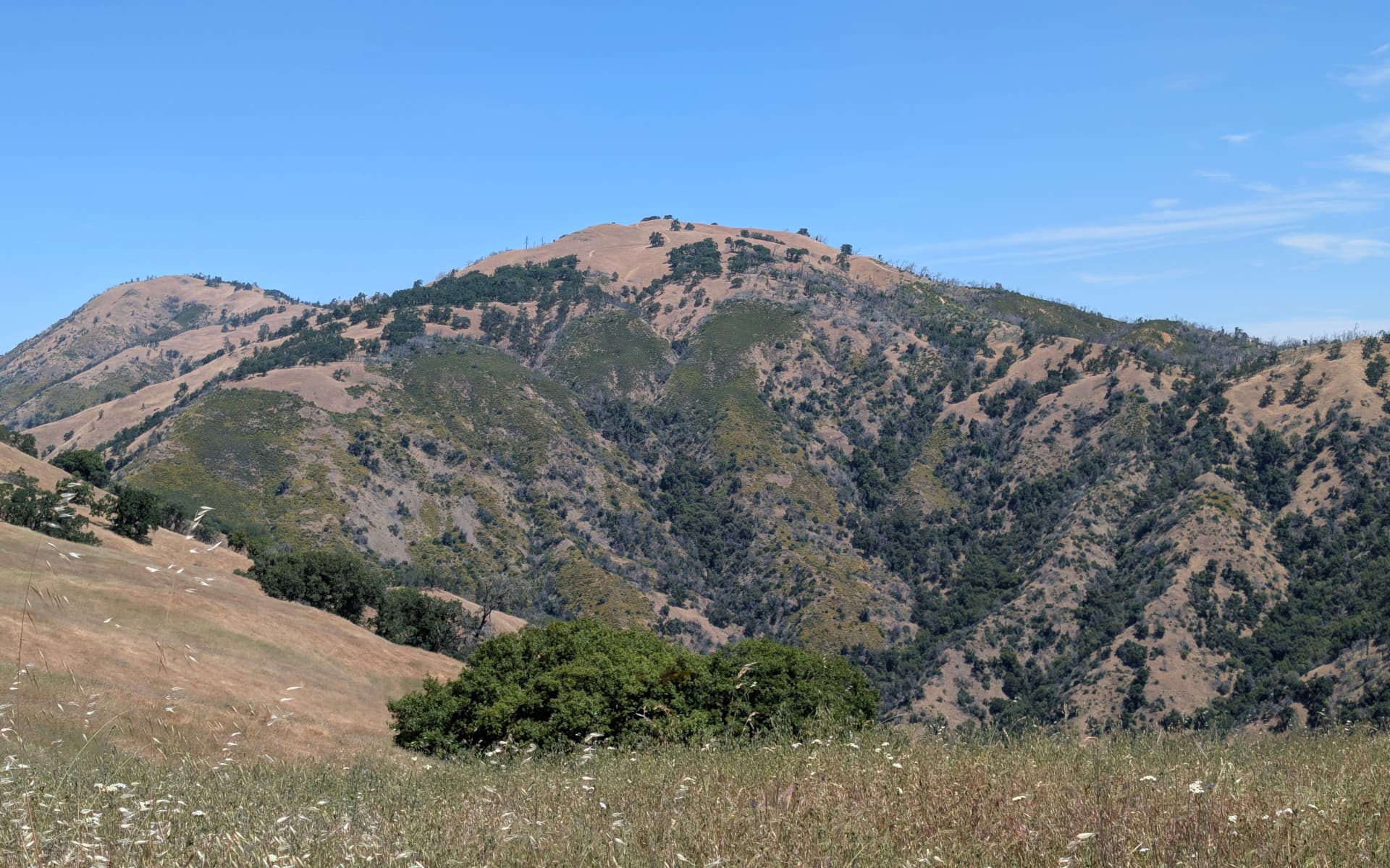 Avenue of the Noble Giants