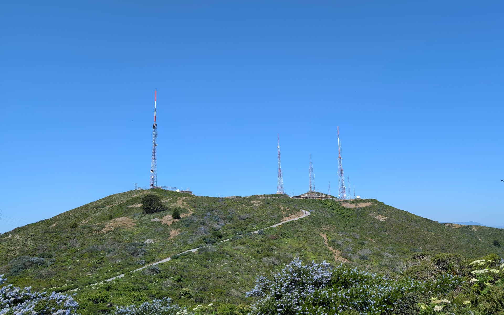 San Bruno Mountain