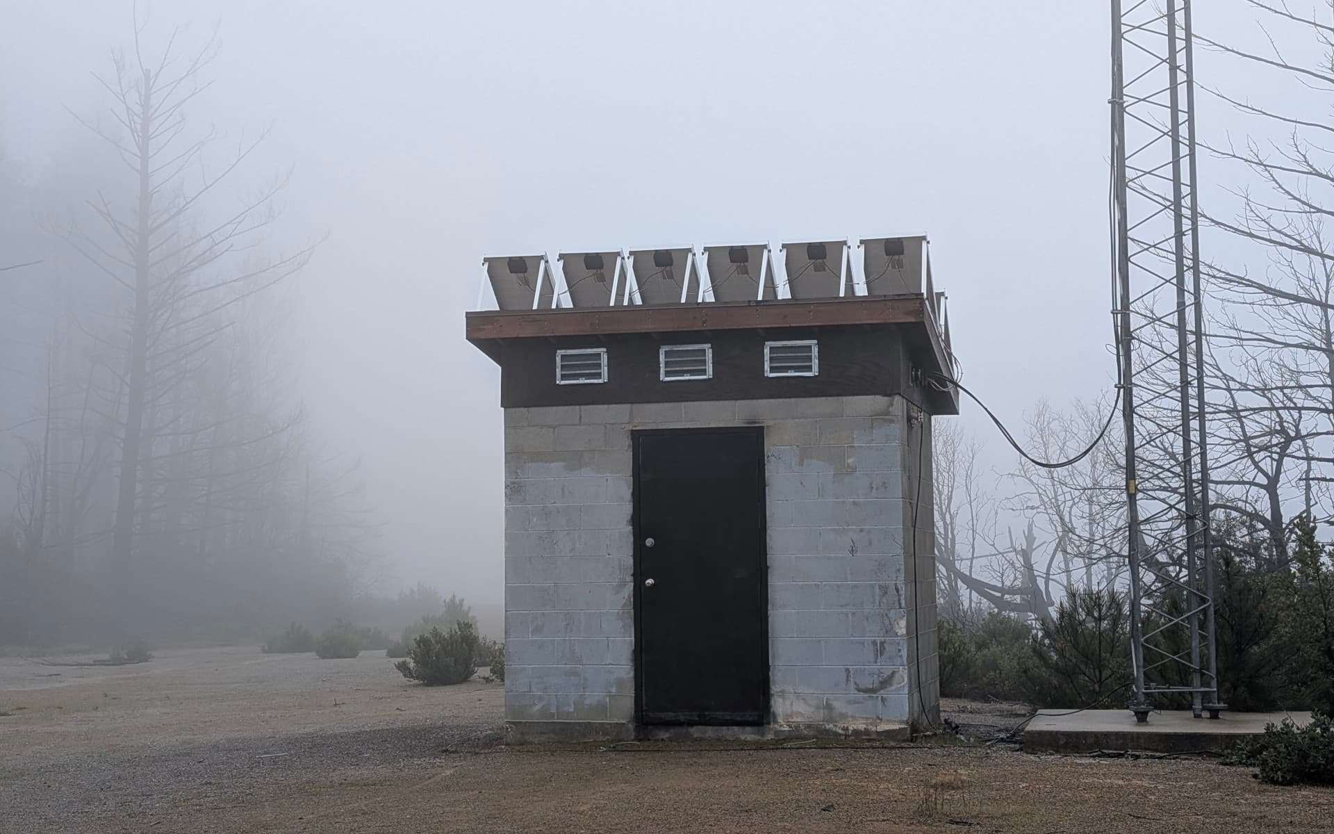 Butano State Park