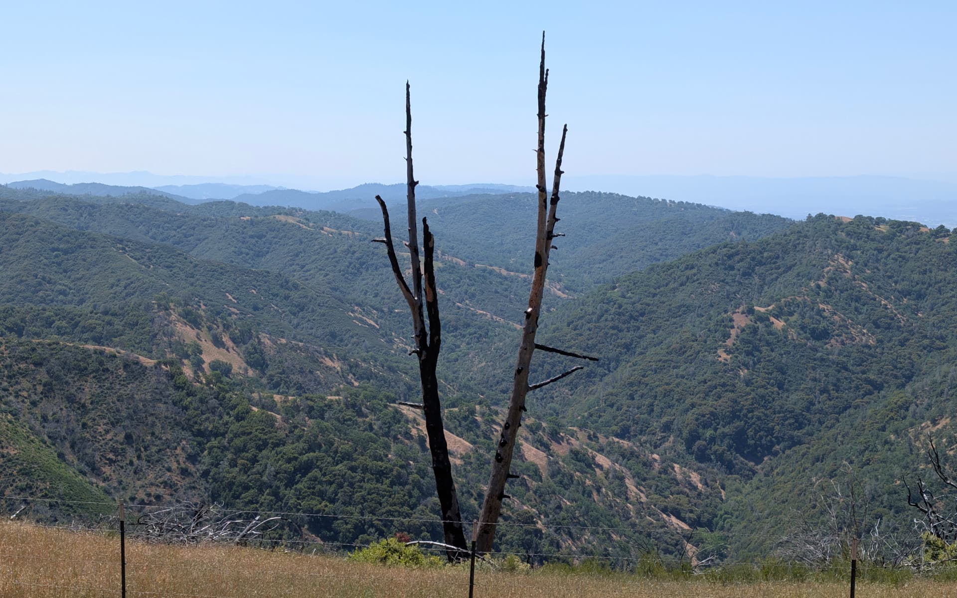 Mount Isabel