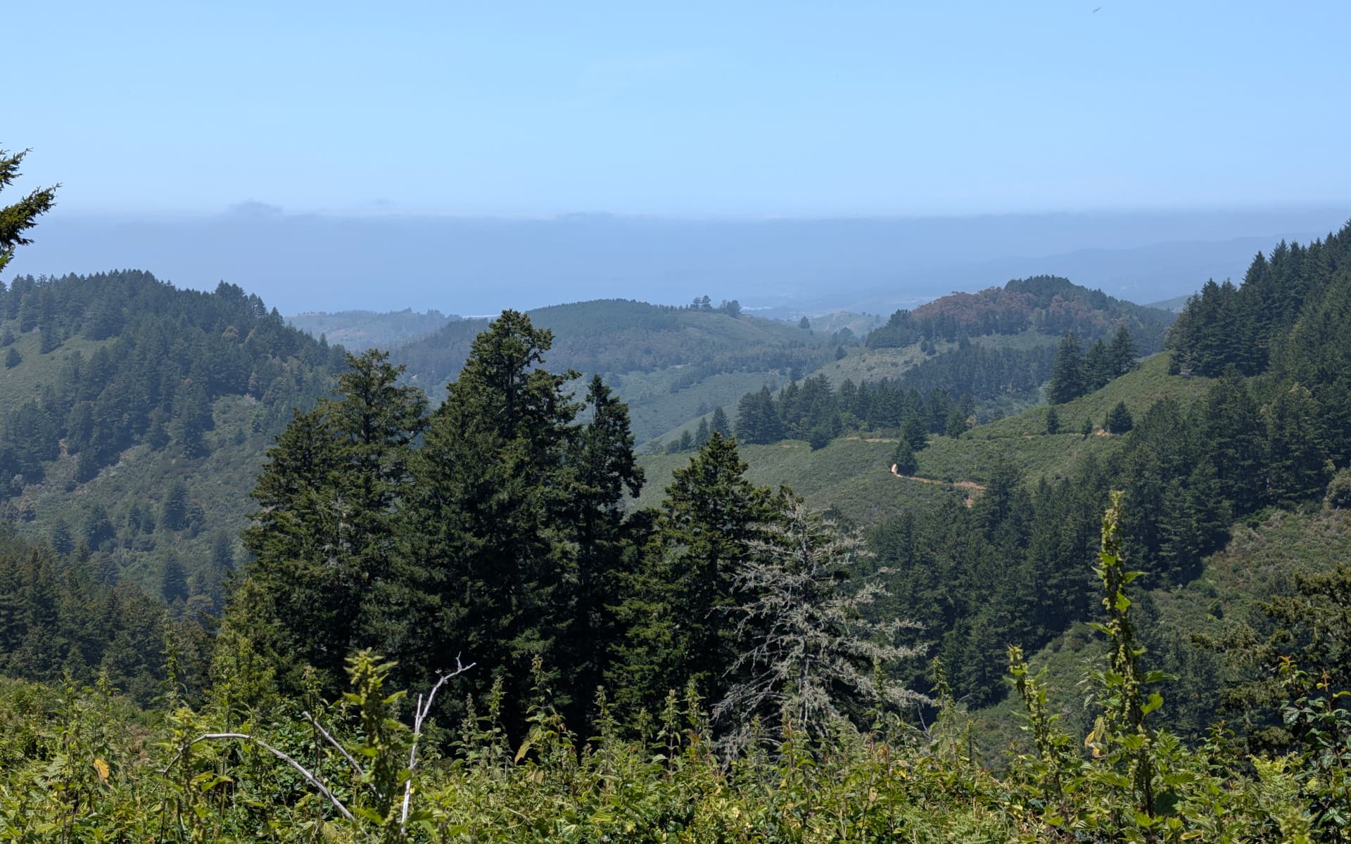 Whittemore Gulch