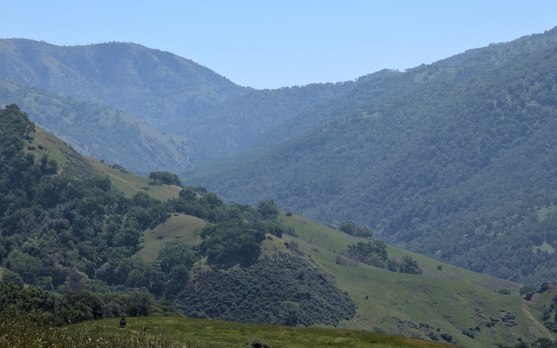 Sunol Wilderness