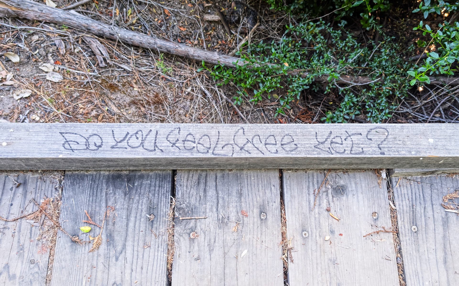 Big Basin State Park