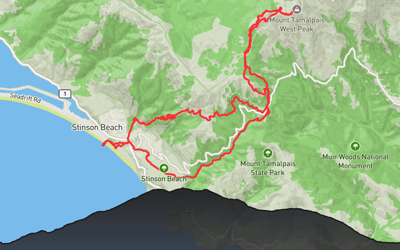 Mount Tamalpais