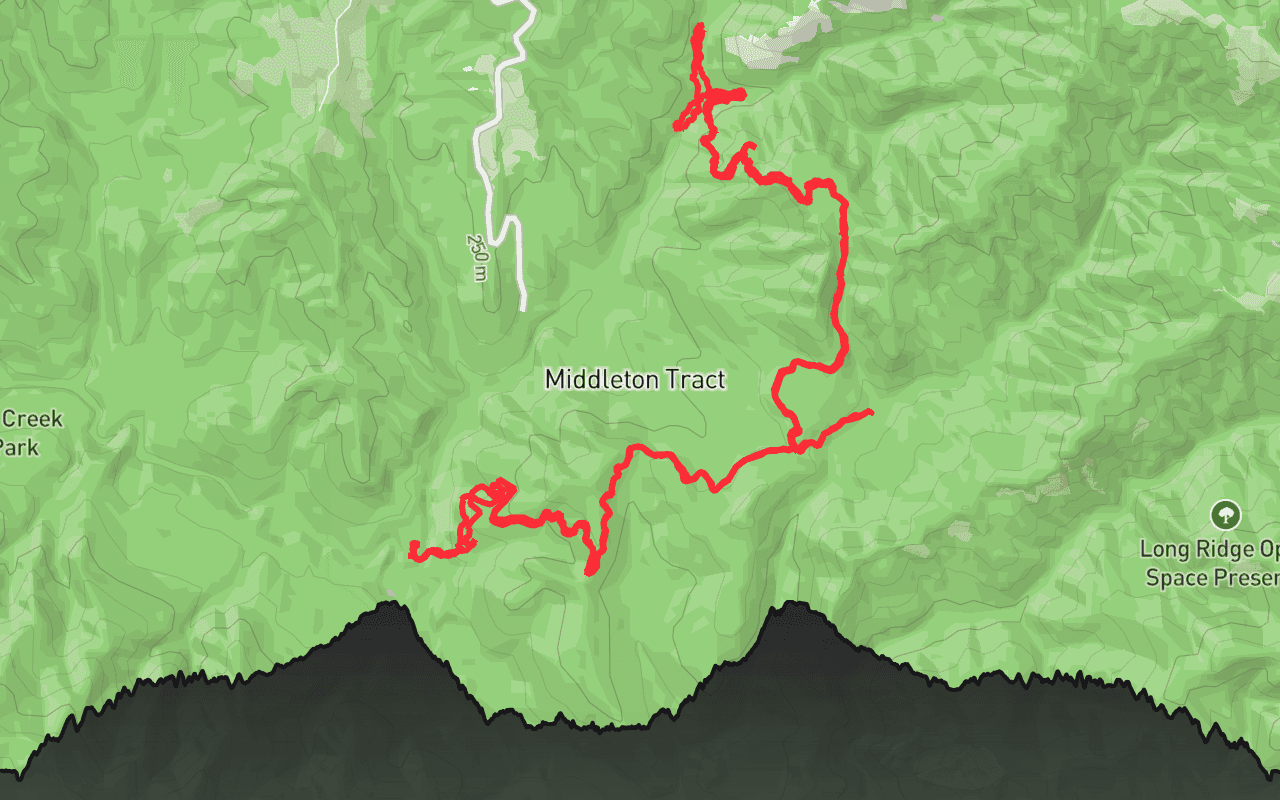 Portola Redwoods State Park