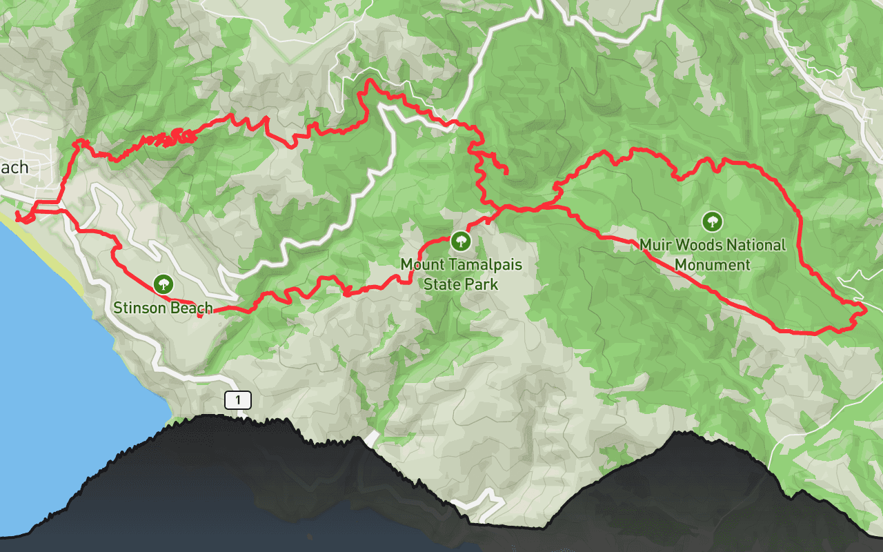 Muir Woods