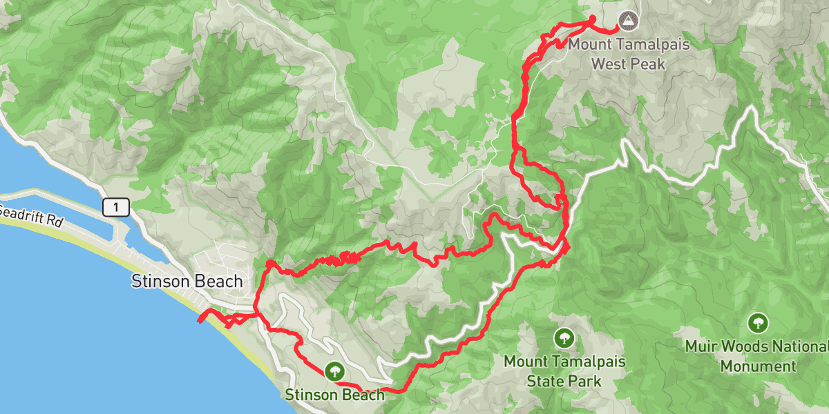 Mount Tamalpais
