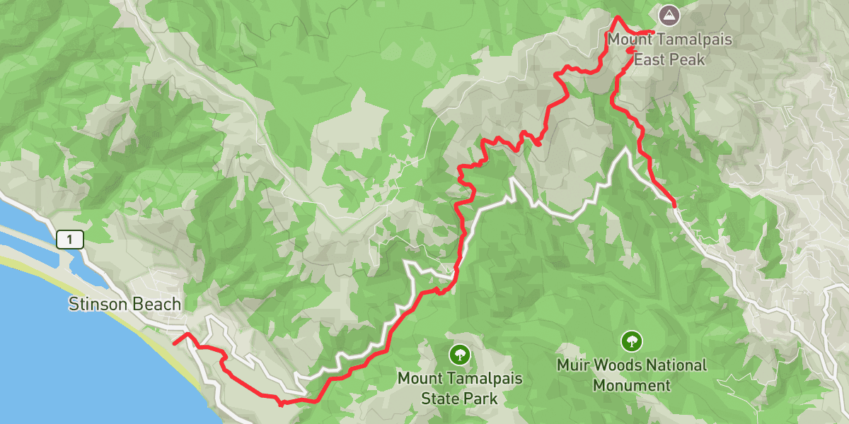 Mount Tamalpais