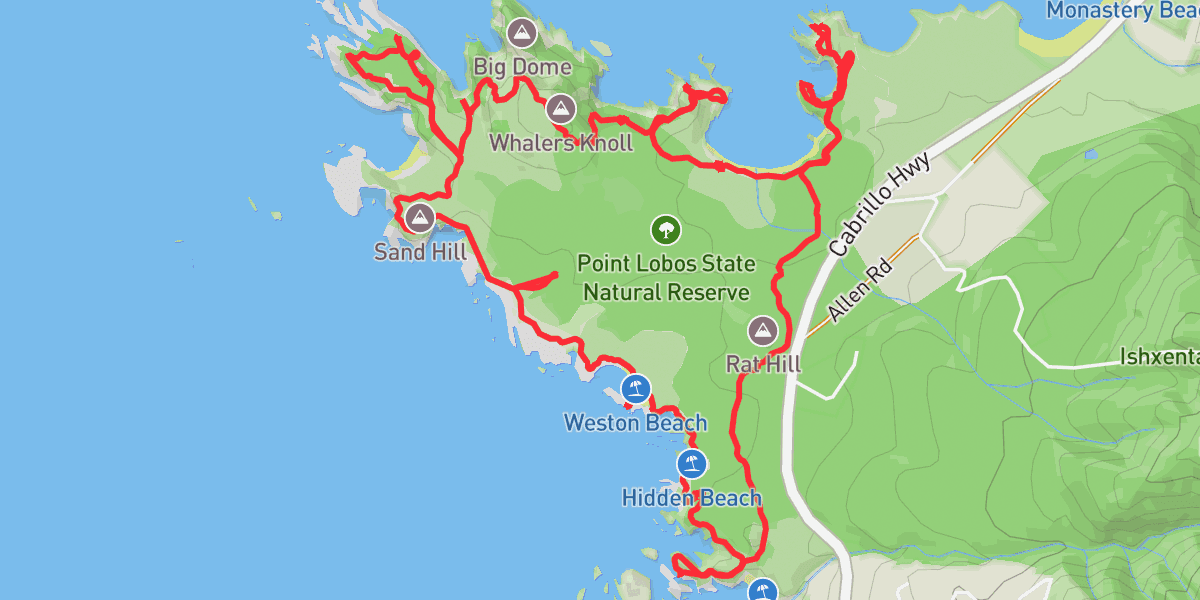 Point Lobos