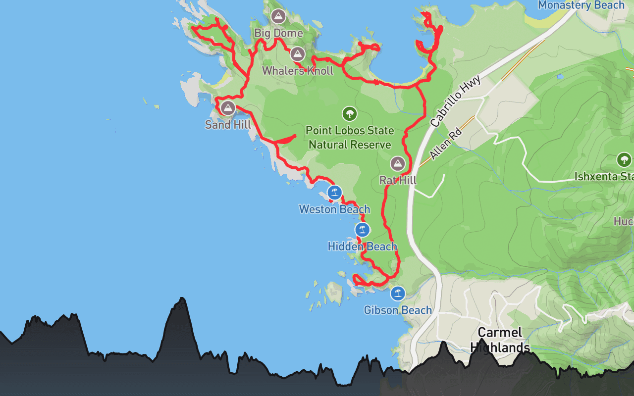 Point Lobos
