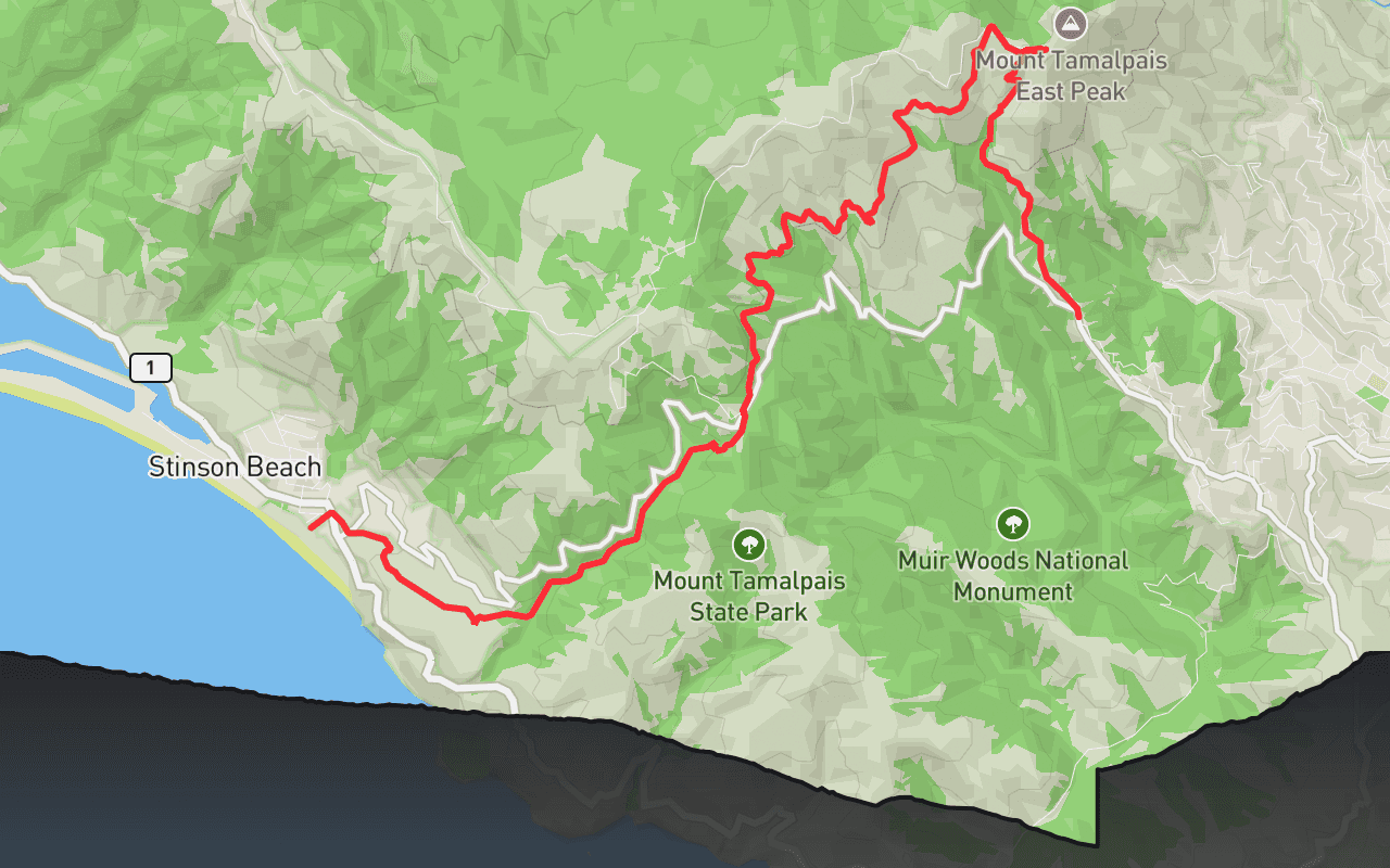 Mount Tamalpais