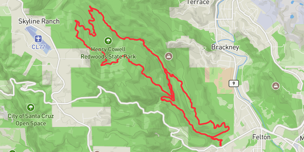 Henry Cowell Redwoods