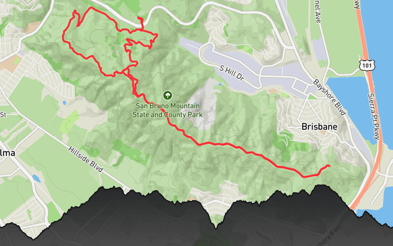 San Bruno Mountain